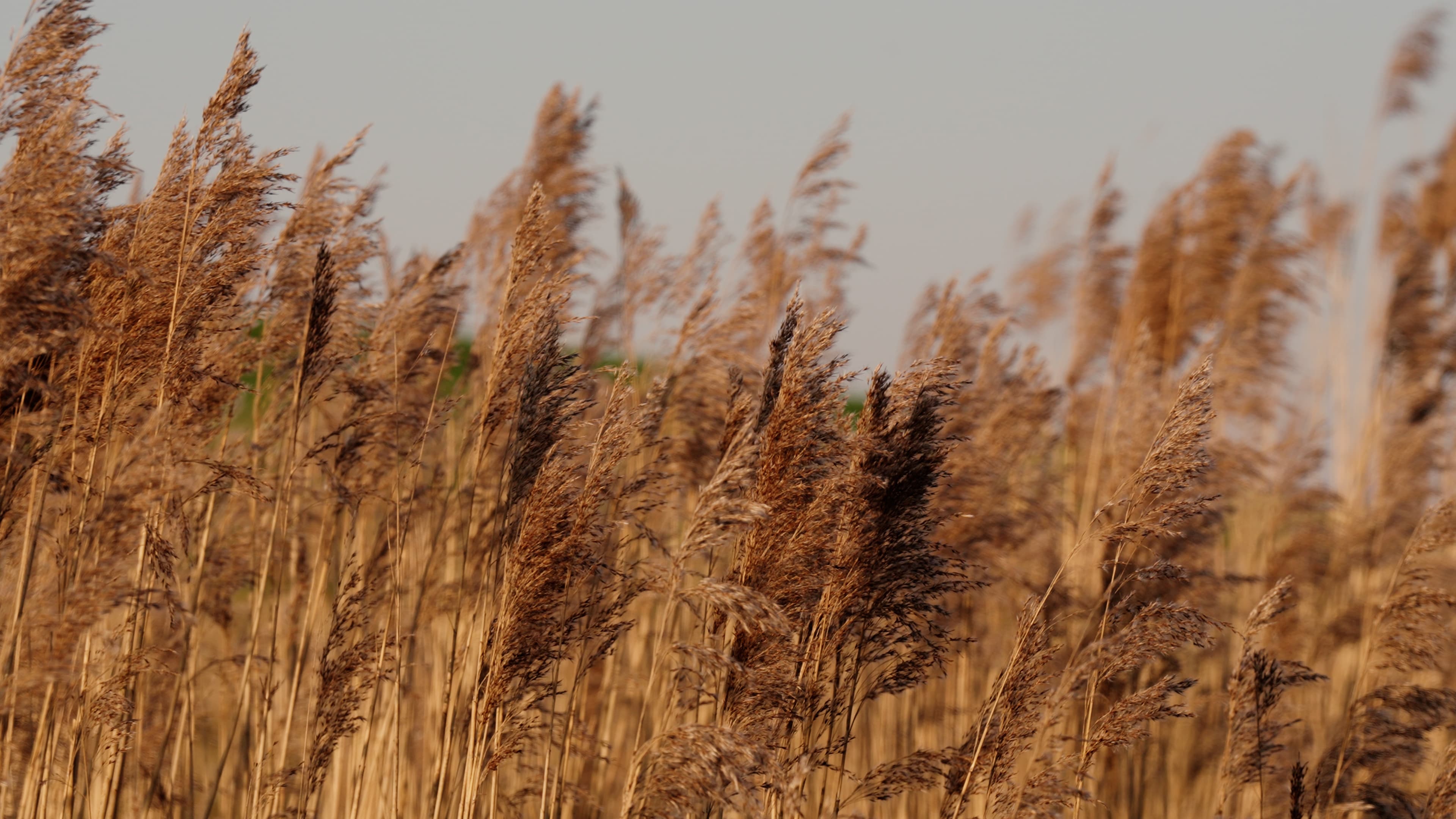 Natuur eerst