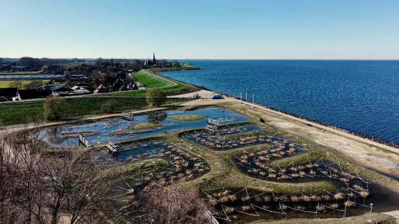 PWN in Vroege Vogels: van pilot naar Klimaatbuffer IJsselmeer